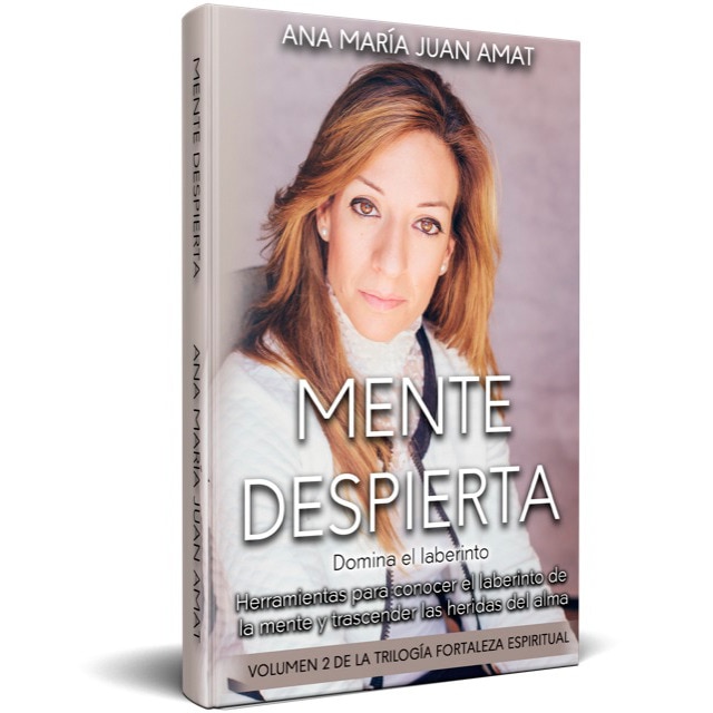 Imagem 0 de Mente despierta. Domina el laberinto.