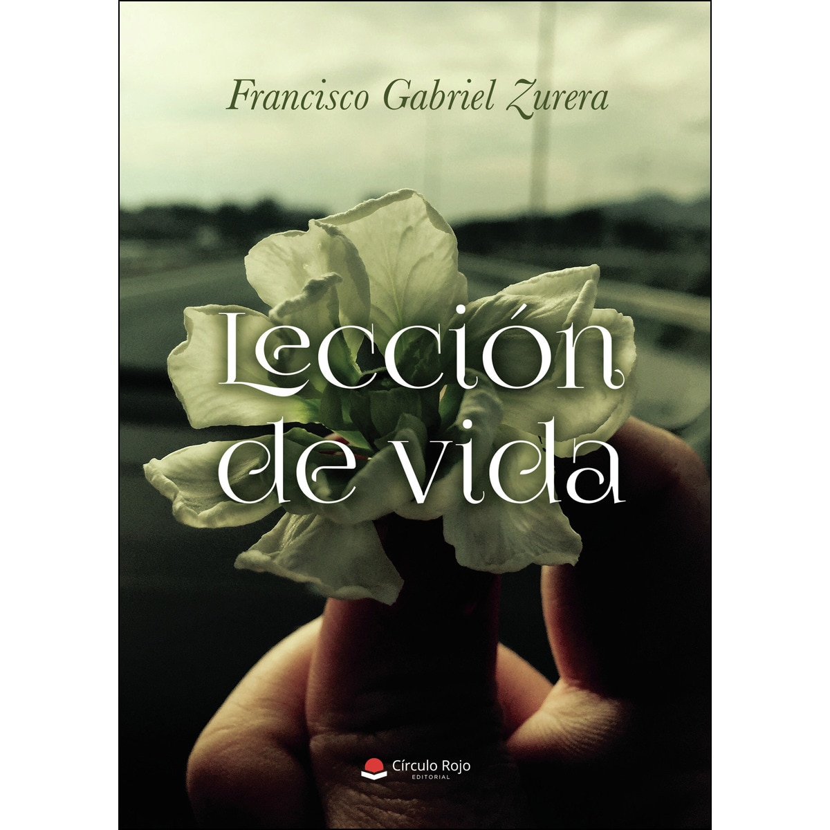 Lección De Vida 1