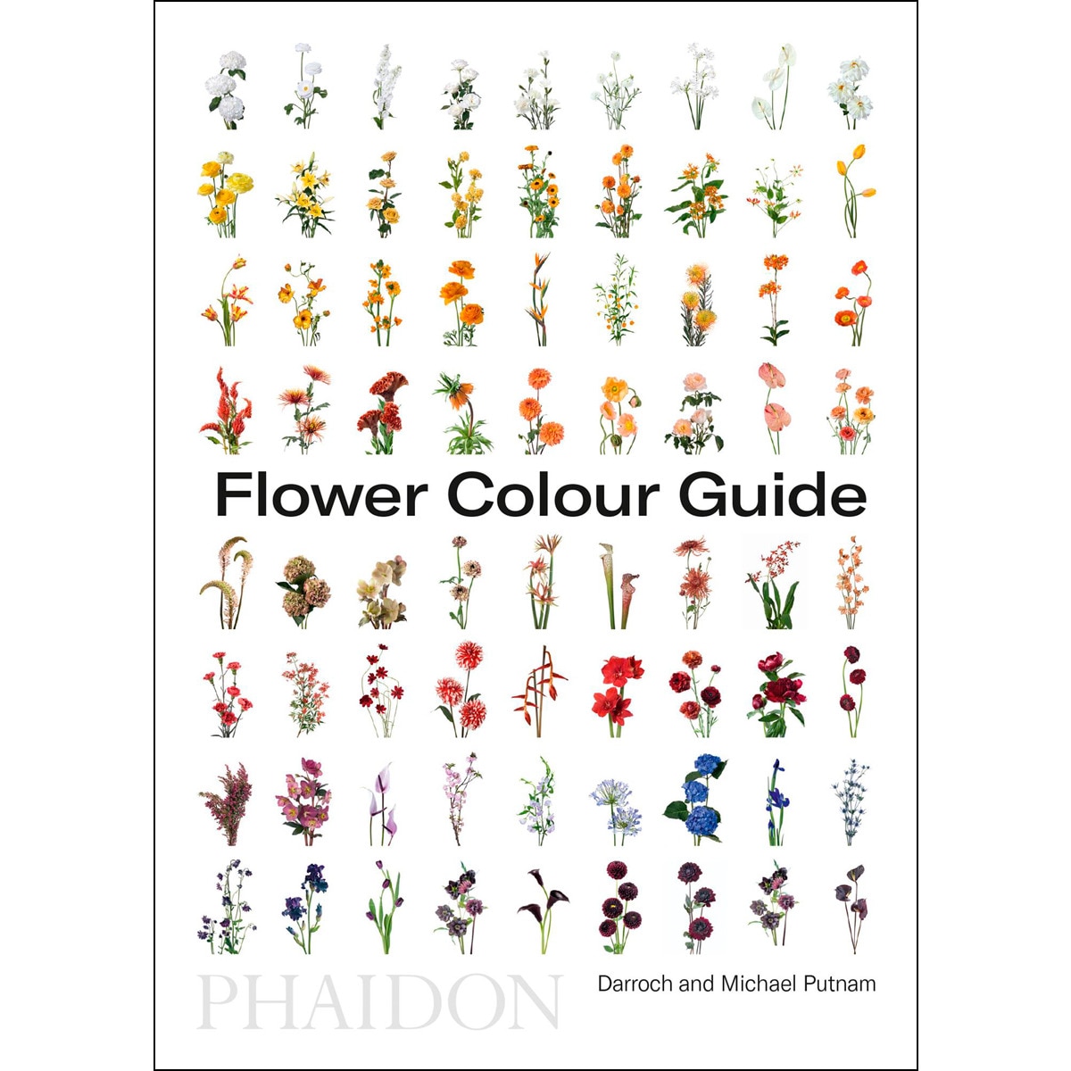 Flower colour guide 1