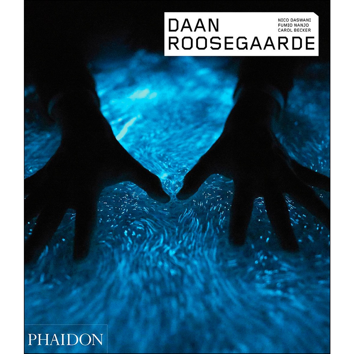 Daan Roosegaarde 1