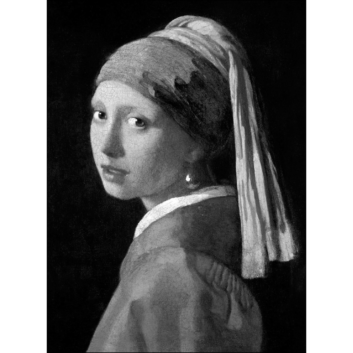 Vermeer 1