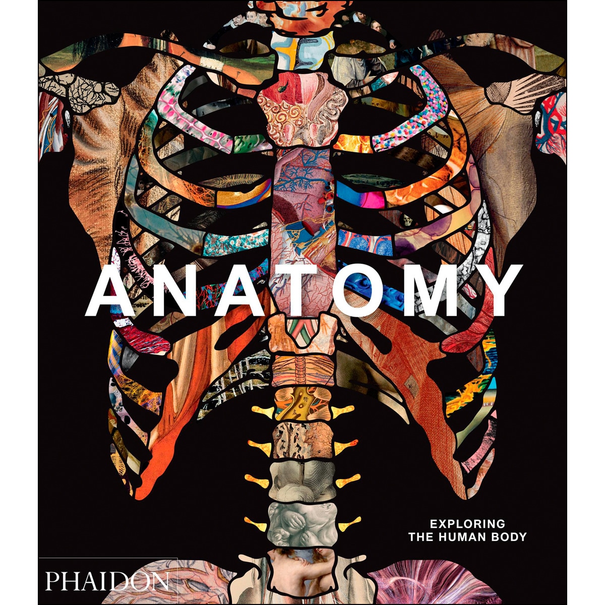 Anatomy: exploring the human body 1