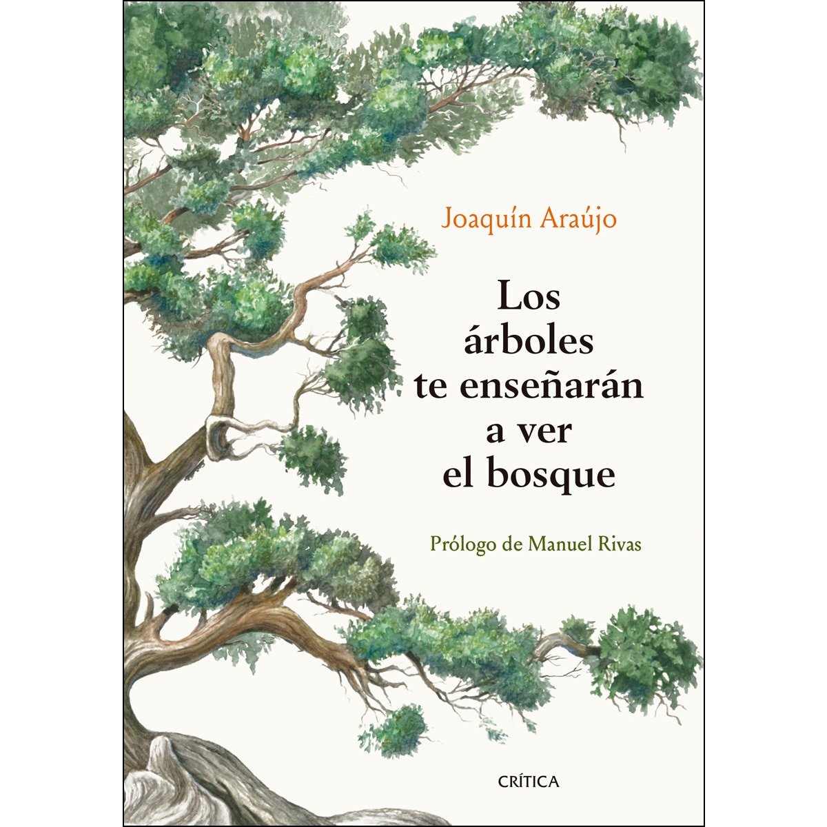 Imagem 0 de Los árboles te enseñarán a ver el bosque: Prólogo de Manuel Rivas