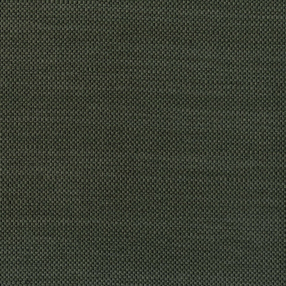 Papel de parede de ráfia Verde-1