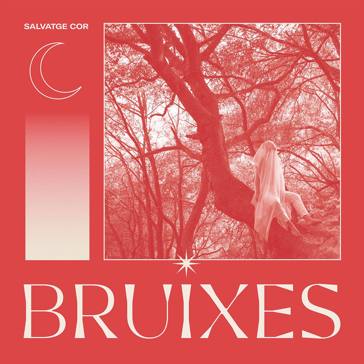 Imagem 0 de Bruixes (LP)