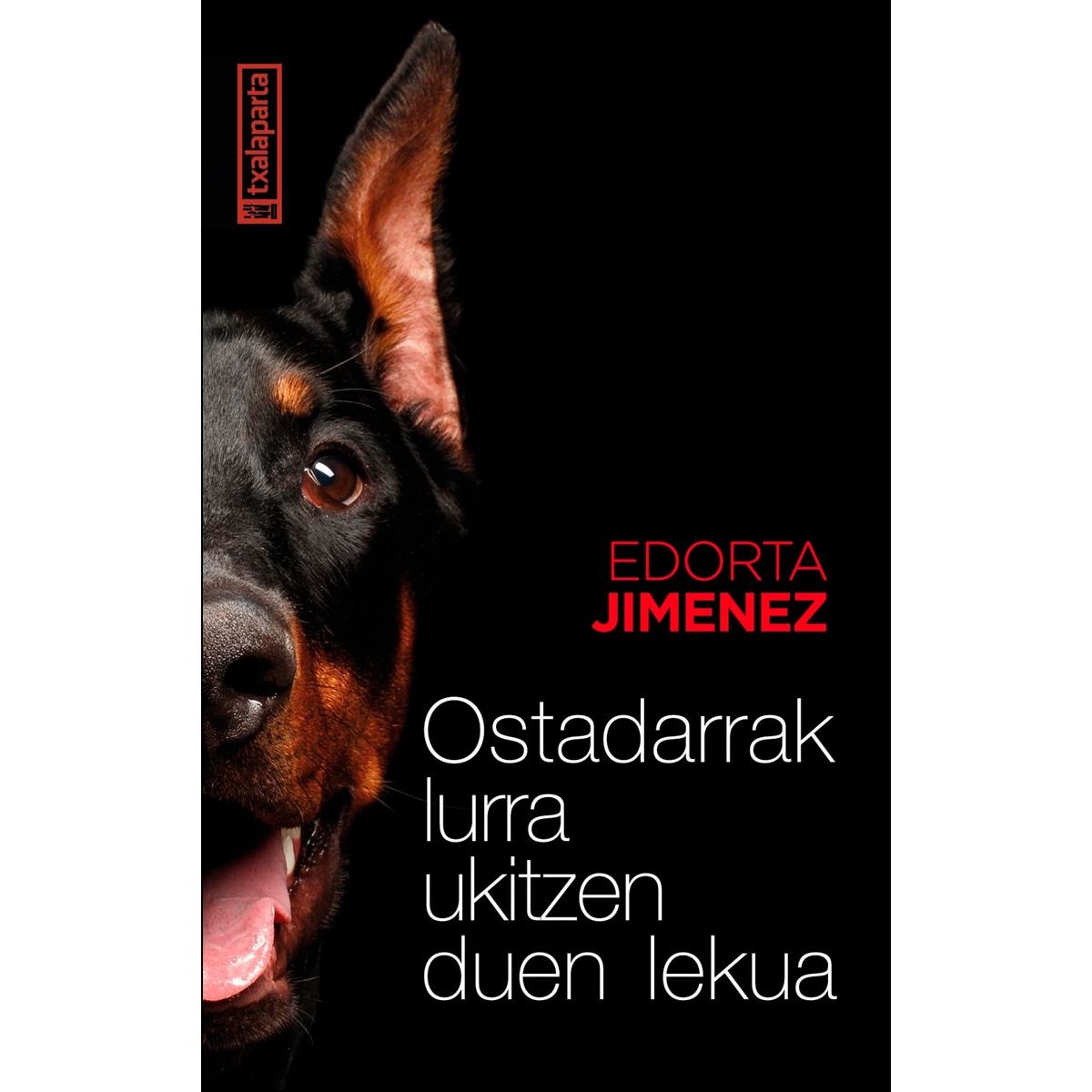 Ostadarrak lurra ukitzen duen lekua 1