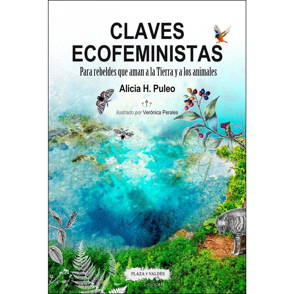 Imagem 0 de CLAVES ECOFEMINISTAS: Para rebeldes que aman a la Tierra y a los animales (Capa mole)