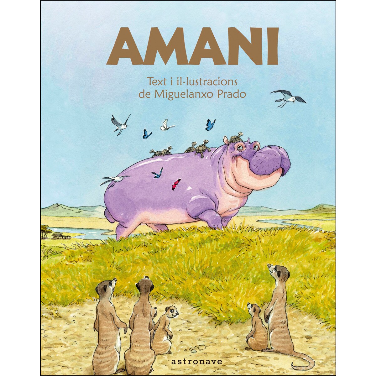 Amani 1