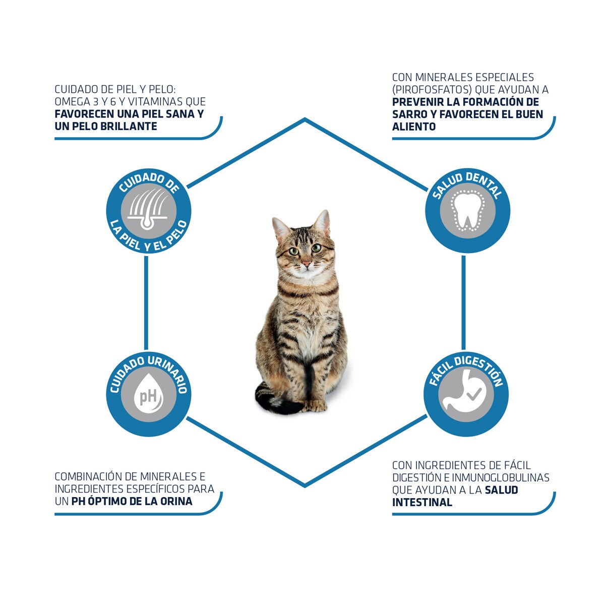 Adult cat food with chicken and rice for adult cats sack 10 kg