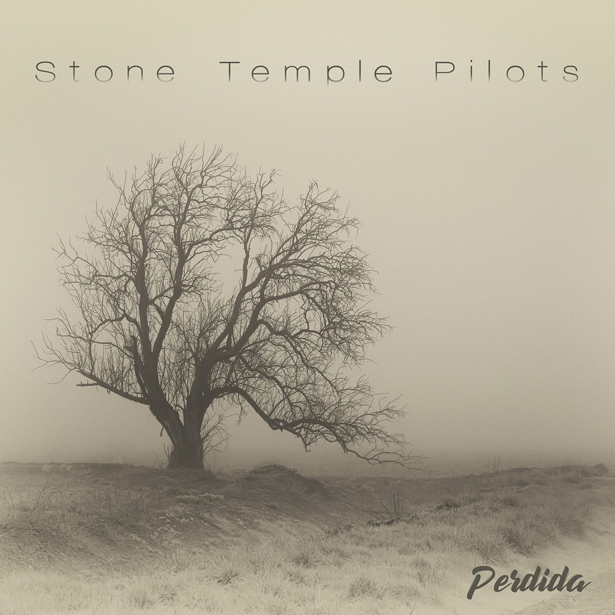 Perdida (LP-Vinil) 1