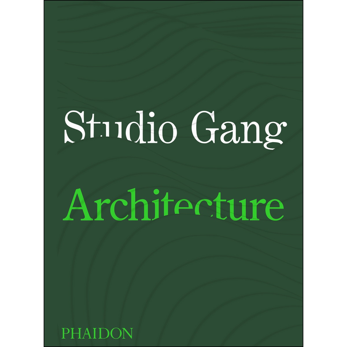 Studio gang 1