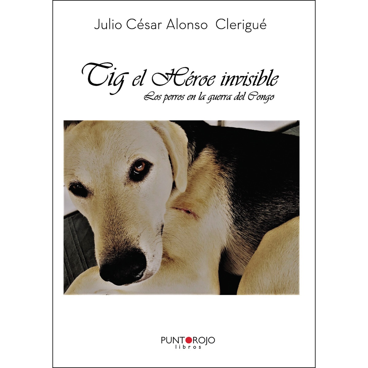 Tig. El Héroe Invisible 1