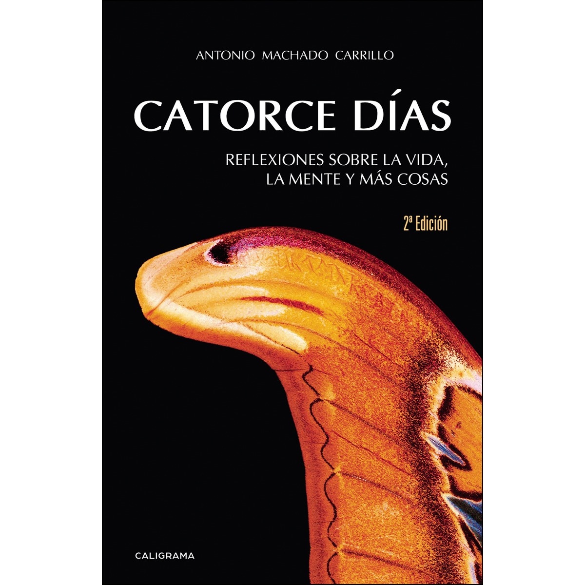 Catorce días: Reflexiones sobre la vida, la mente y más cosas(Tapa blanda) 1