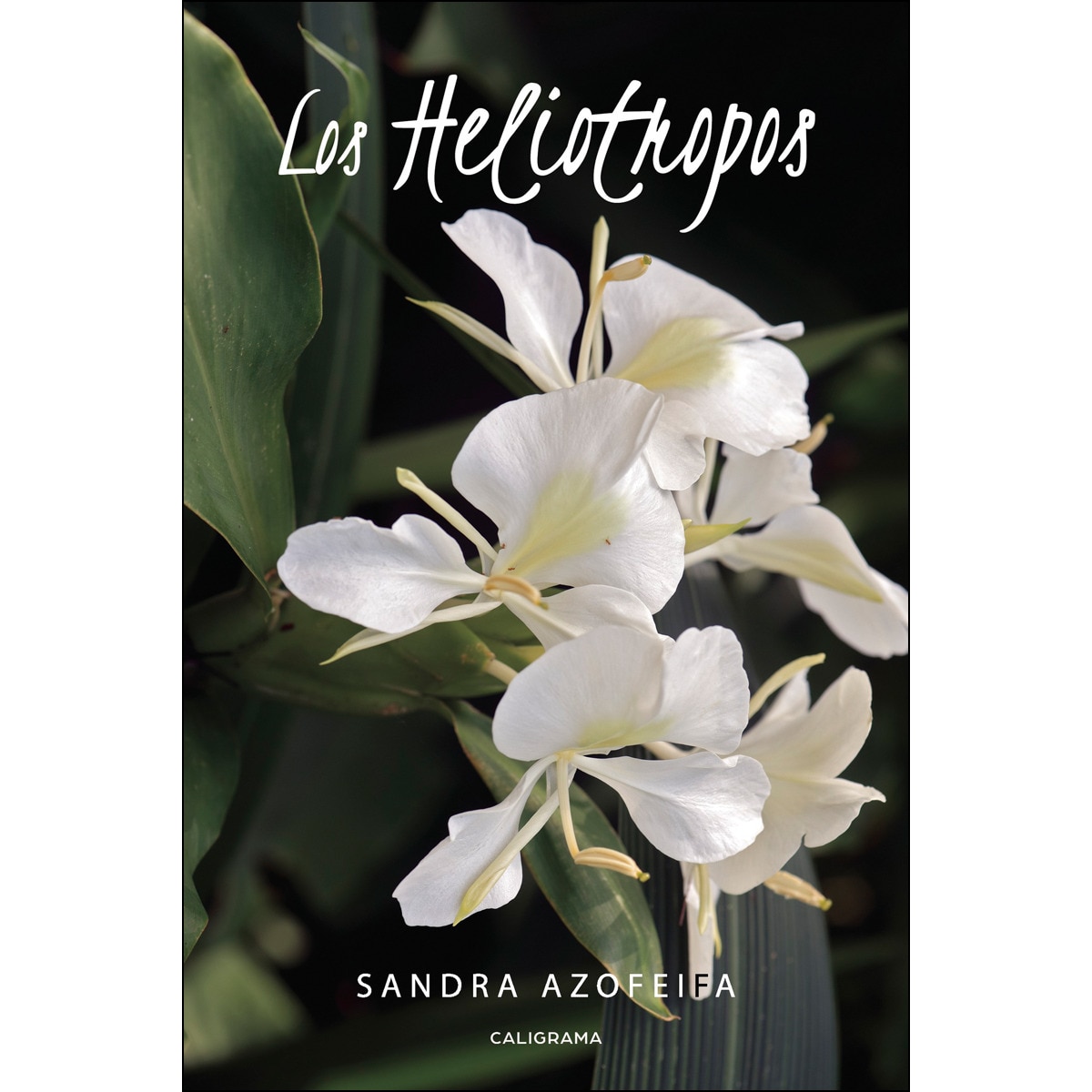 Los Heliotropos (Capa mole) 1