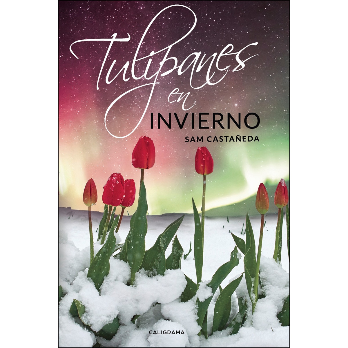Tulipanes en invierno(Tapa blanda) 1