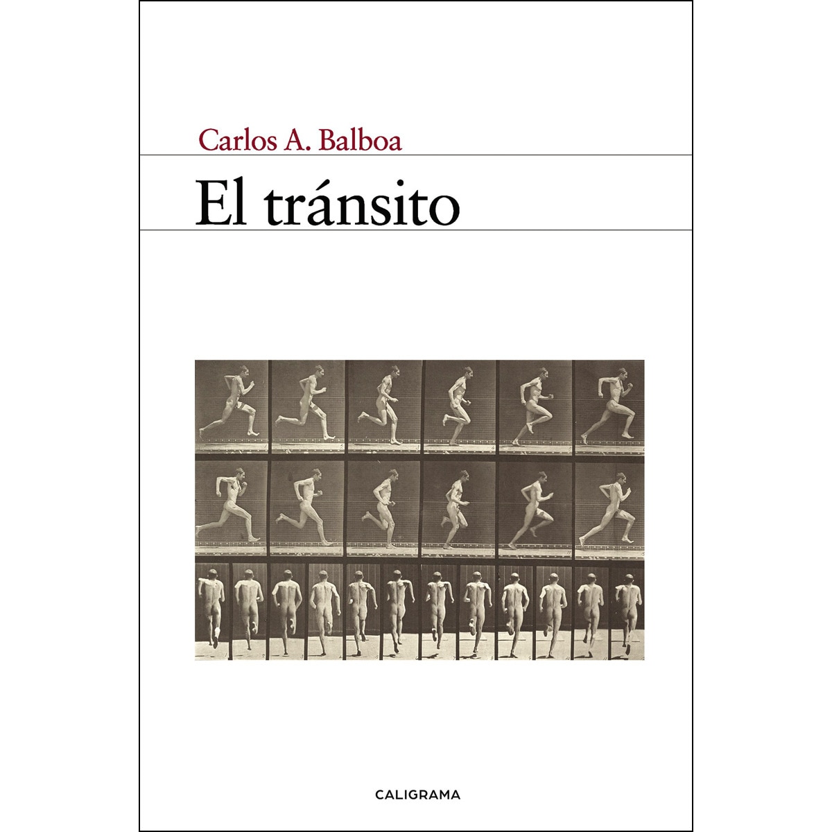 El tránsito(Tapa blanda) 1