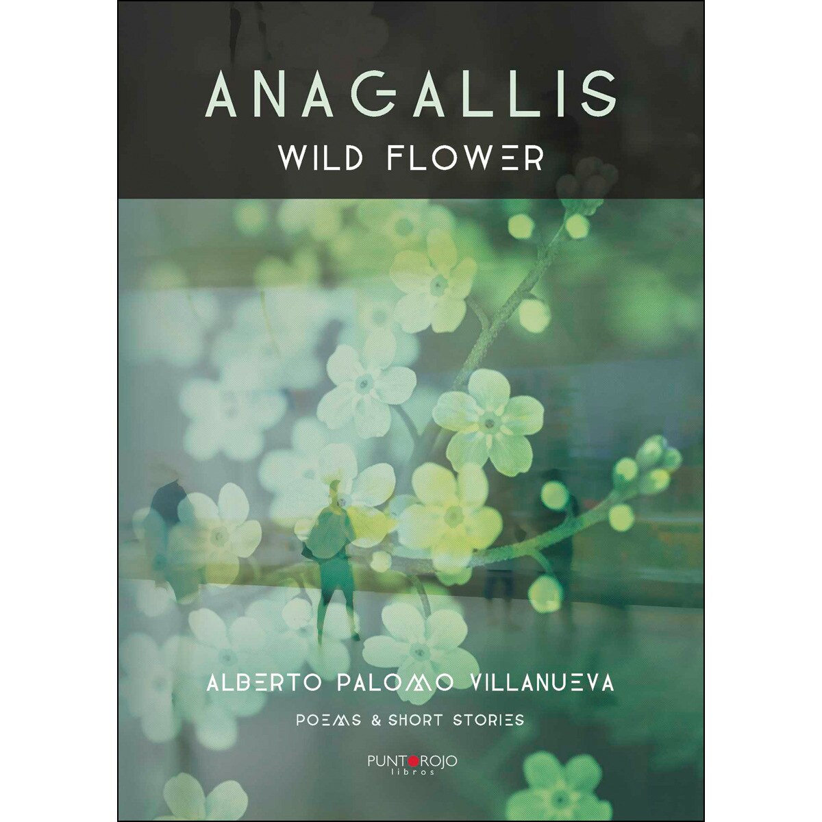 Anagallis. Wild Flower 1