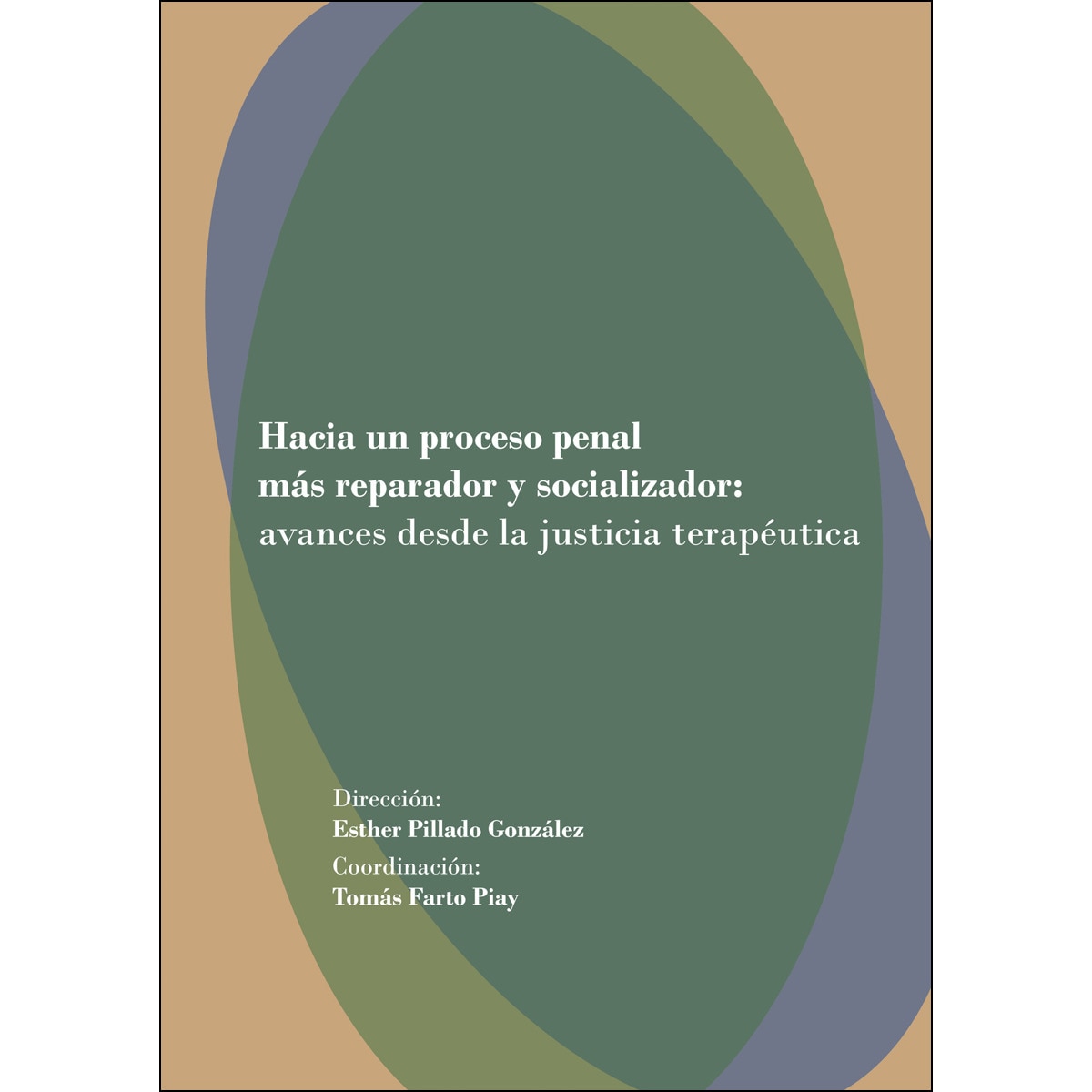 Hacia Un Proceso Penal Más Reparador Y Resocializador: Avances Desde La Justicia Terapéutica 1