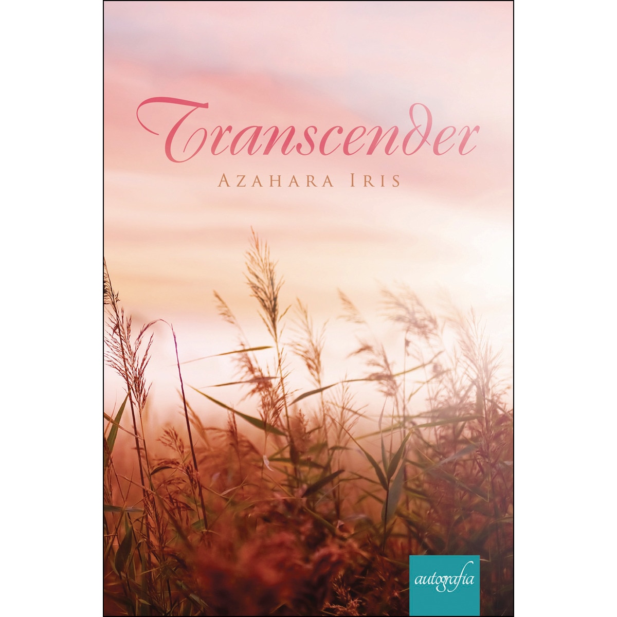 Transcender 1