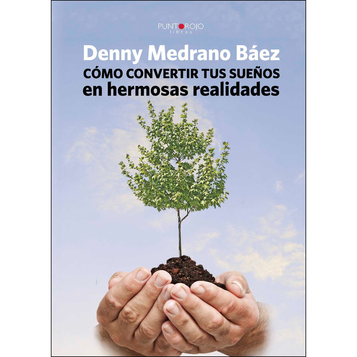 Cómo Convertir Tus Sueños En Hermosas Realidades 1