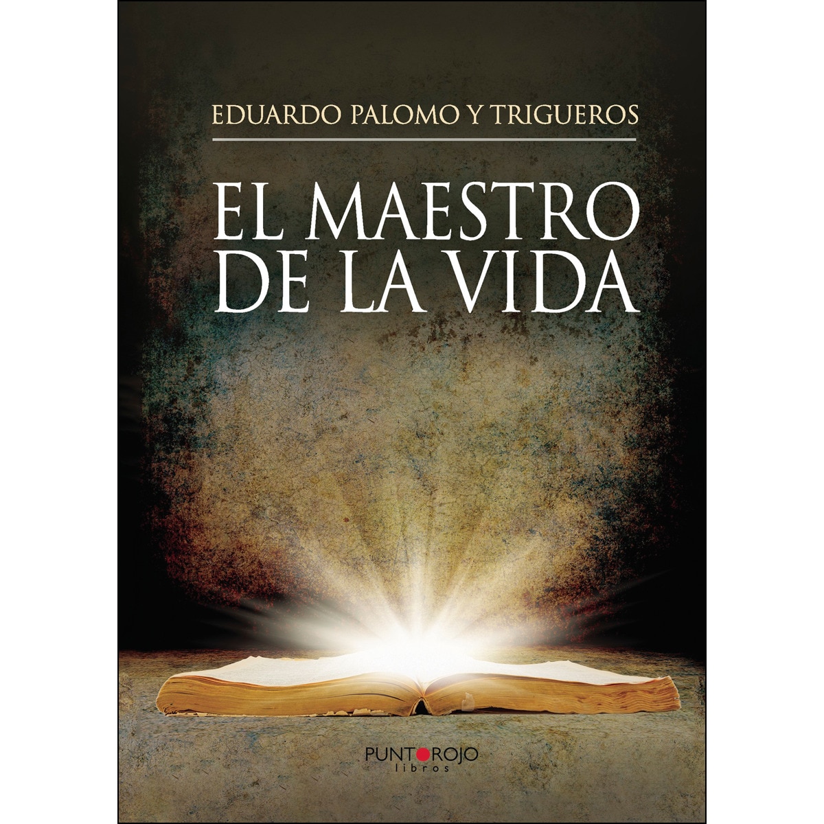 El Maestro De La Vida 1
