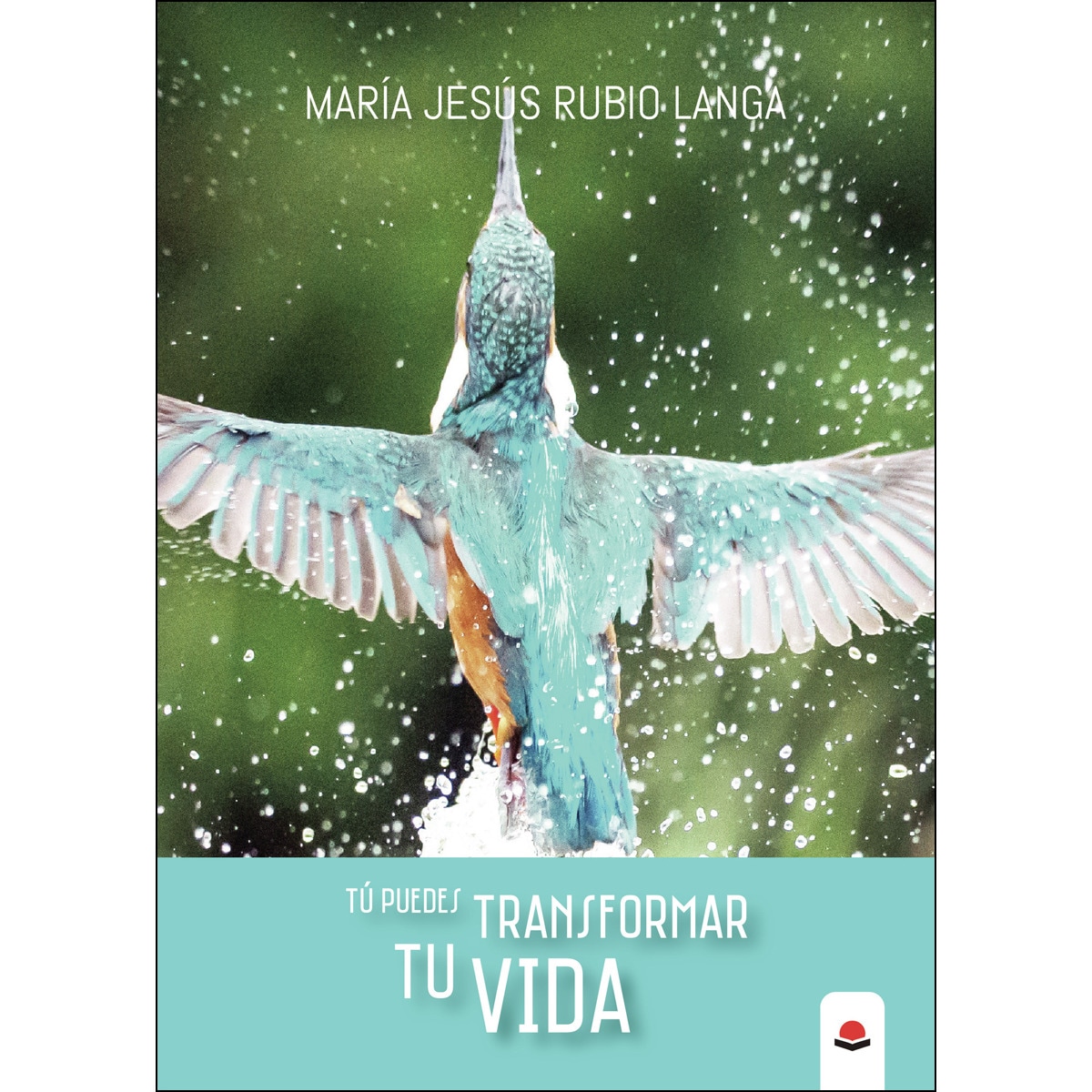 Tú puedes transformar tu vida(Tapa blanda) 1