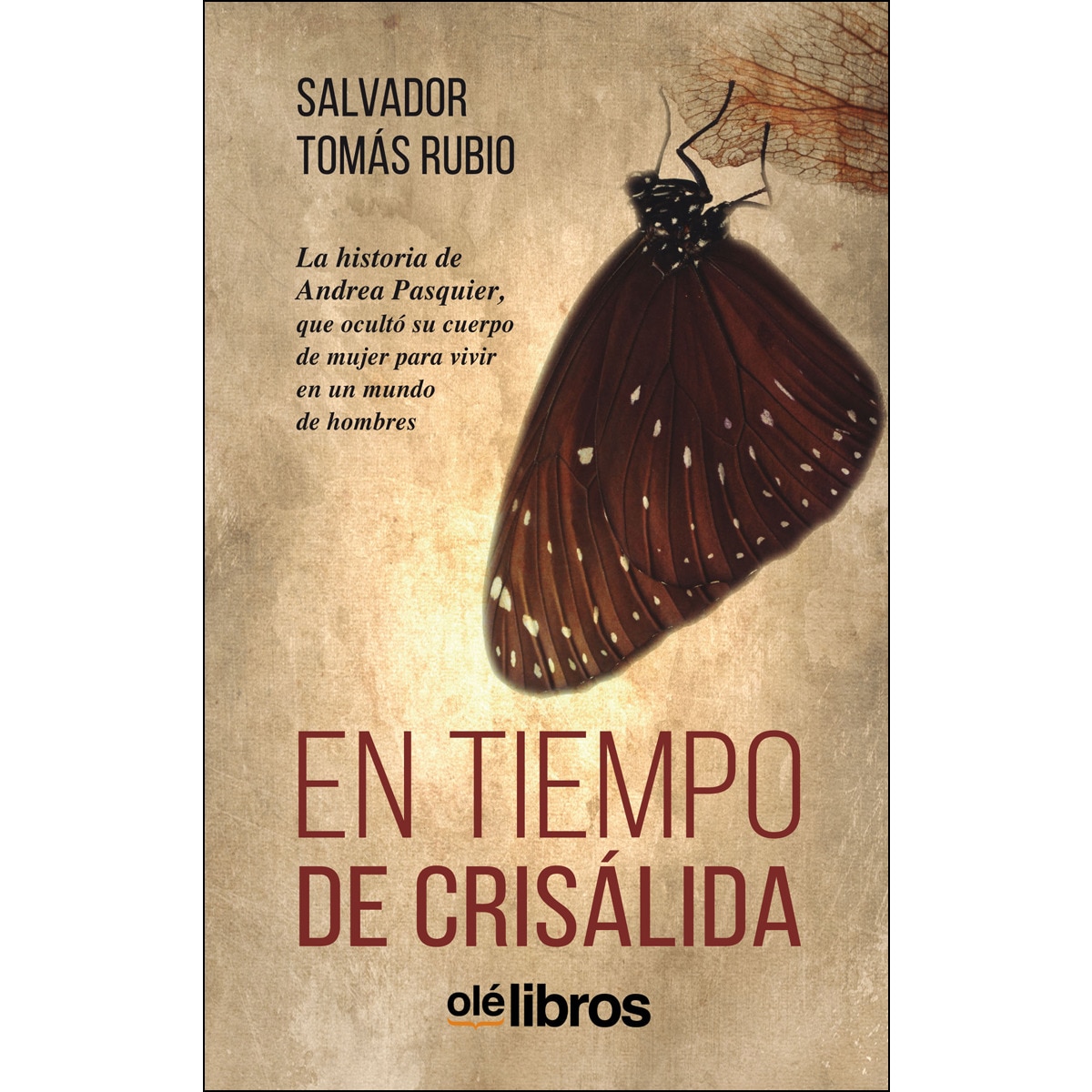 En tiempo de crisálida(Tapa blanda) 1