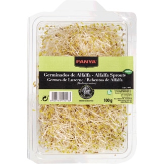 Germinados de Alfalfa embalagem 100 g - Fanya