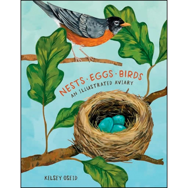 Nests eggs birds 1