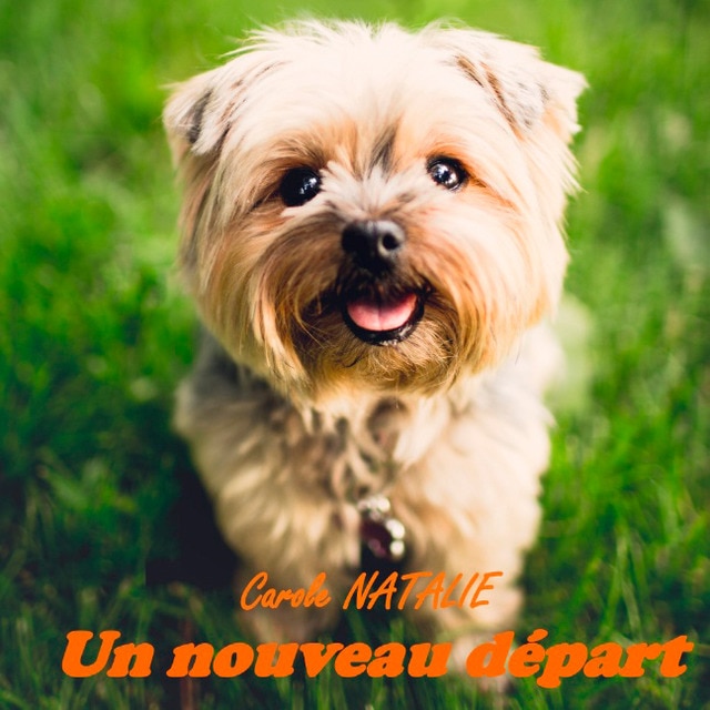 Imagem 0 de Un nouveau départ