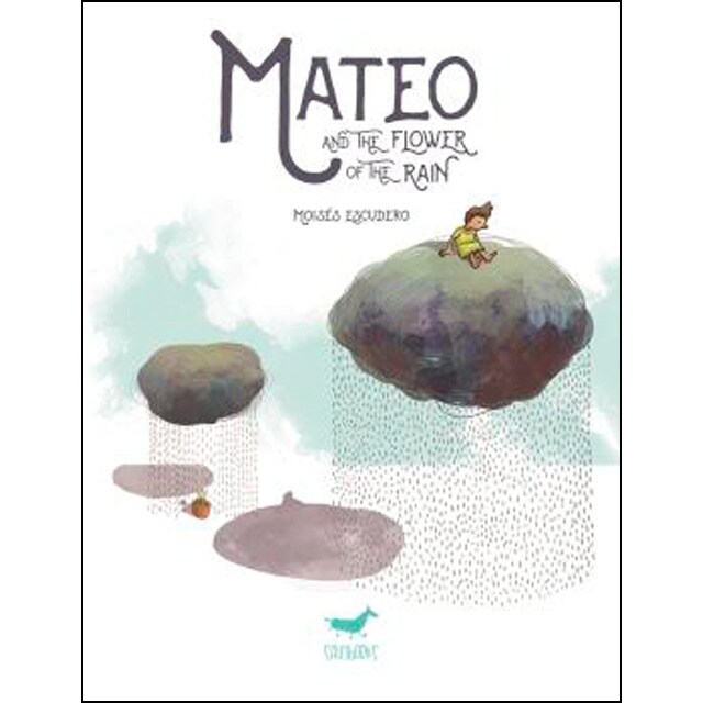 Imagem 0 de Mateo and the flower of the rain(Tapa blanda)