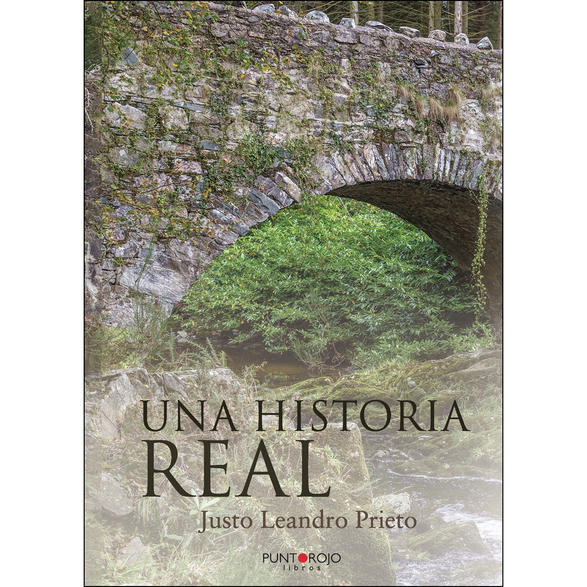 Una historia real(Tapa blanda) 1