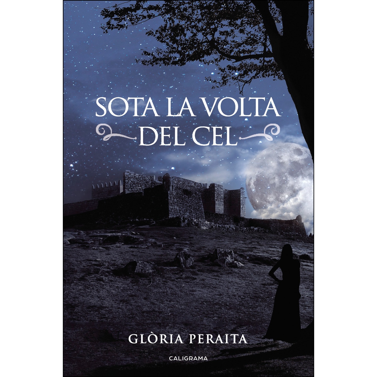 Imagem 0 de Sota la volta del cel(Tapa blanda)