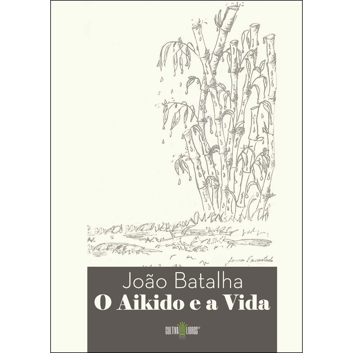 O Aikido E A Vida 1