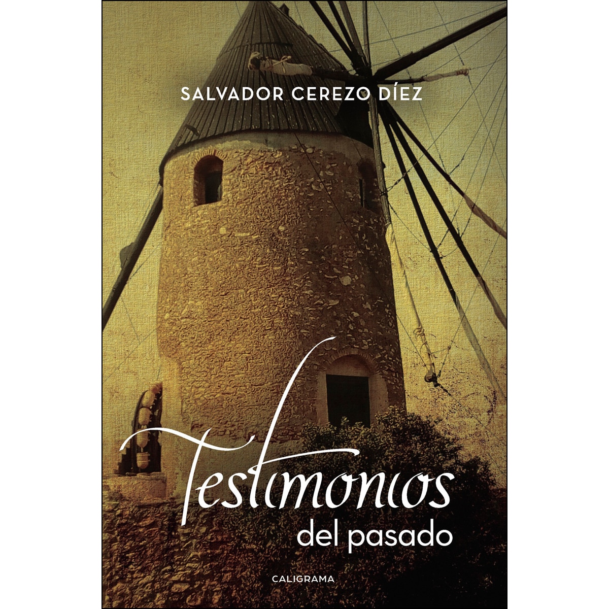 Testimonios del pasado(Tapa blanda) 1