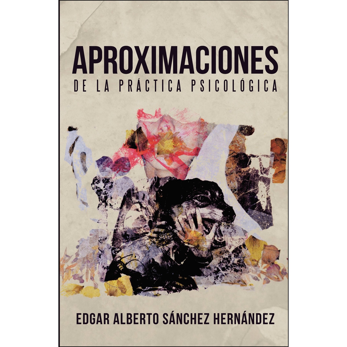 Aproximaciones de la práctica psicológica(Tapa blanda) 1