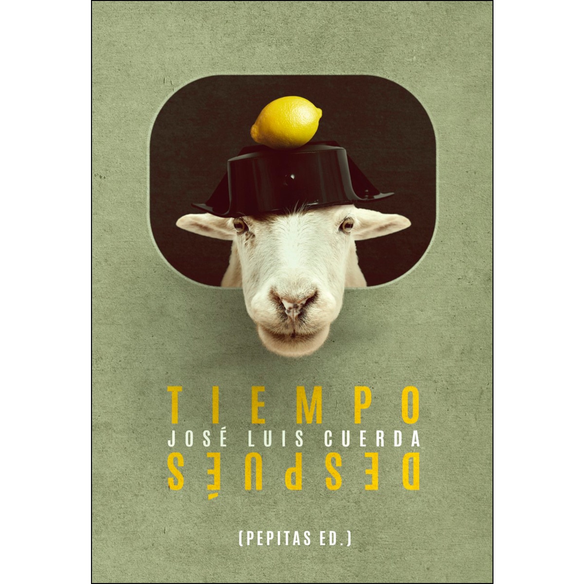 Imagen 0 de Tiempo después  (Tapa blanda con solapas)