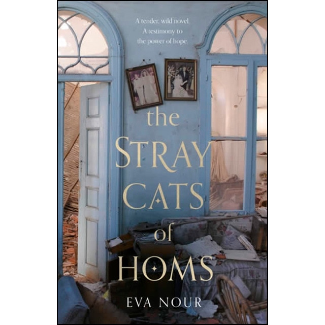 The stray cats of homs 1