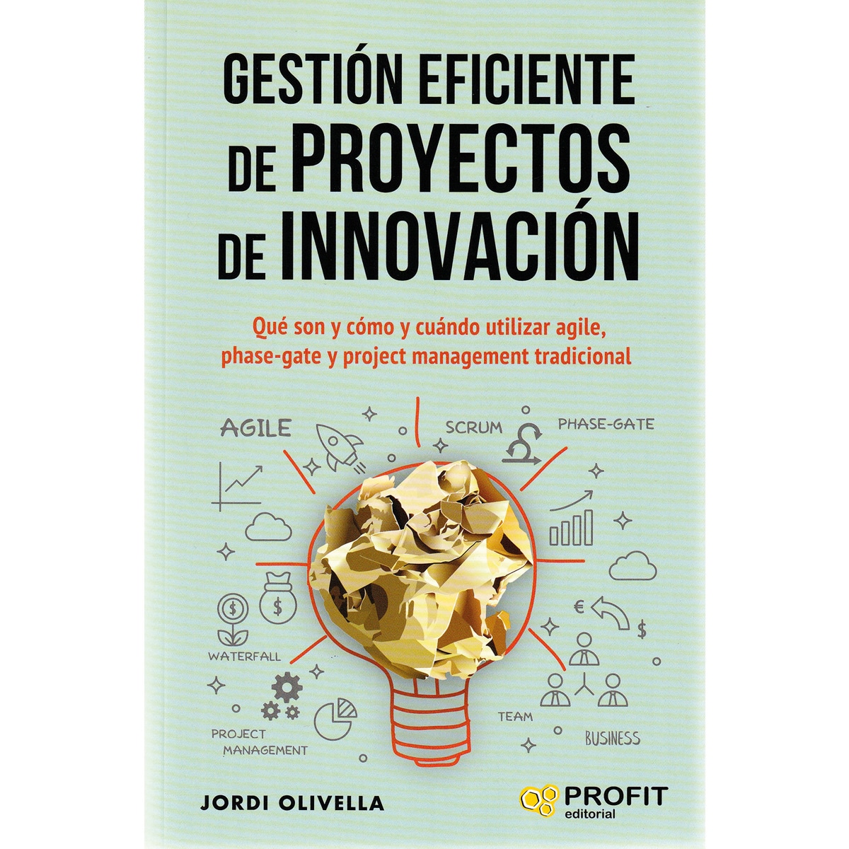 Imagem 0 de Gestión eficiente de proyectos de innovación(Tapa blanda)