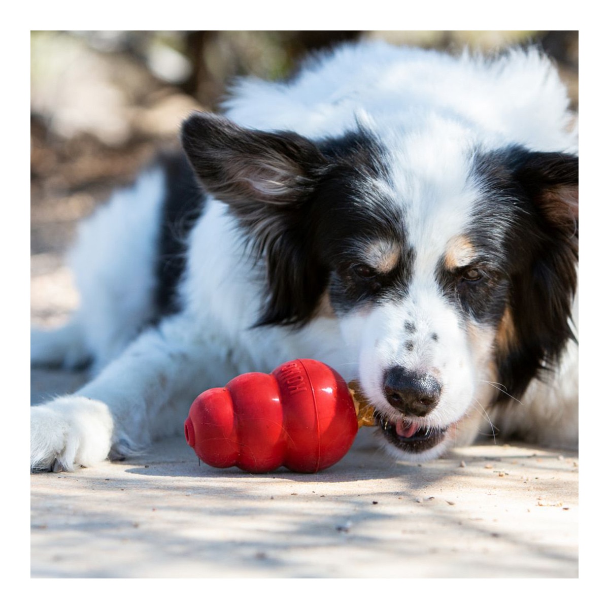 Comida Recetas Kong Perros Juguetes Para Perros Kong KONG Easy