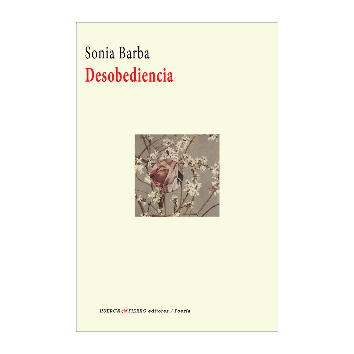 Desobediencia(Tapa blanda) 1