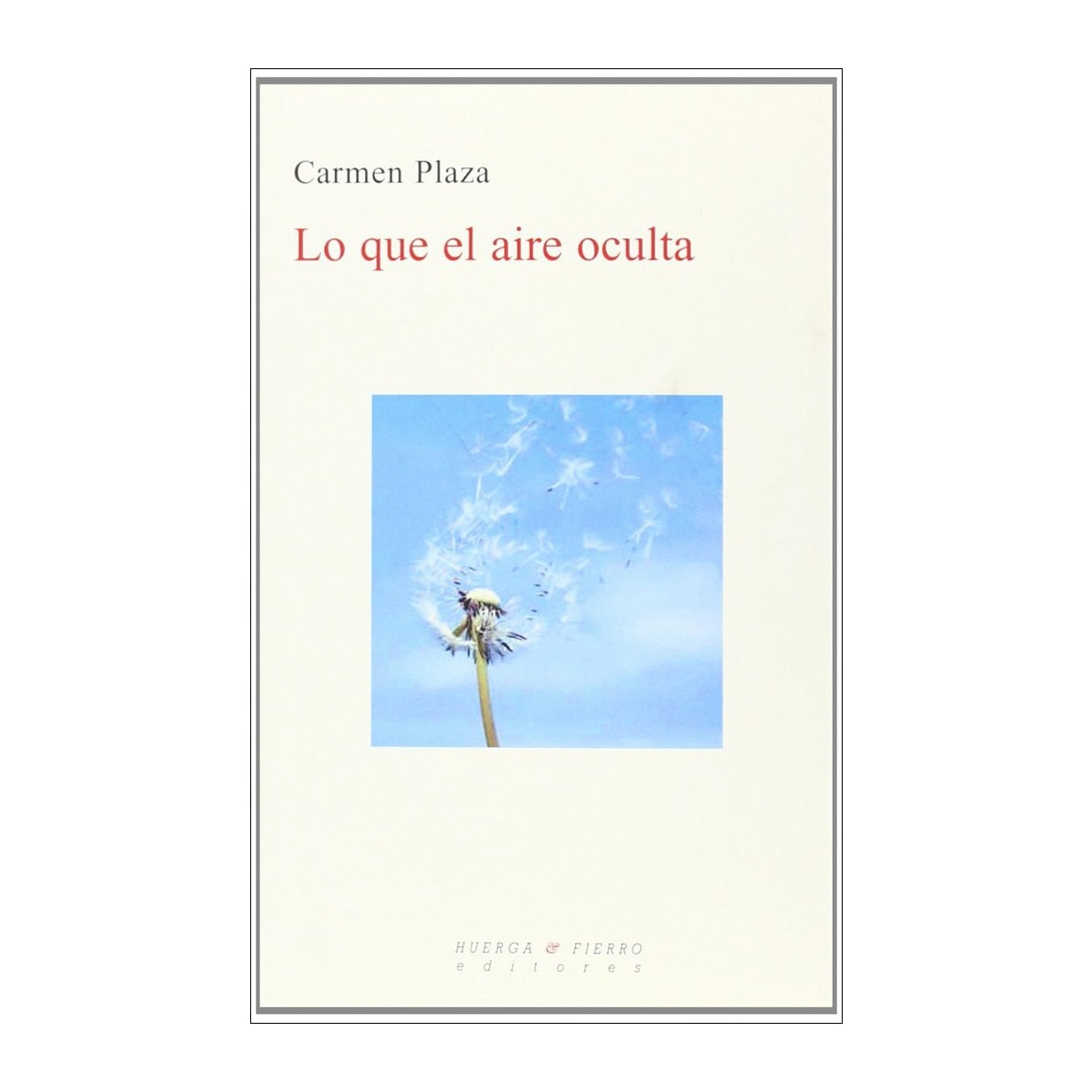 Lo que el aire oculta(Tapa blanda) 1