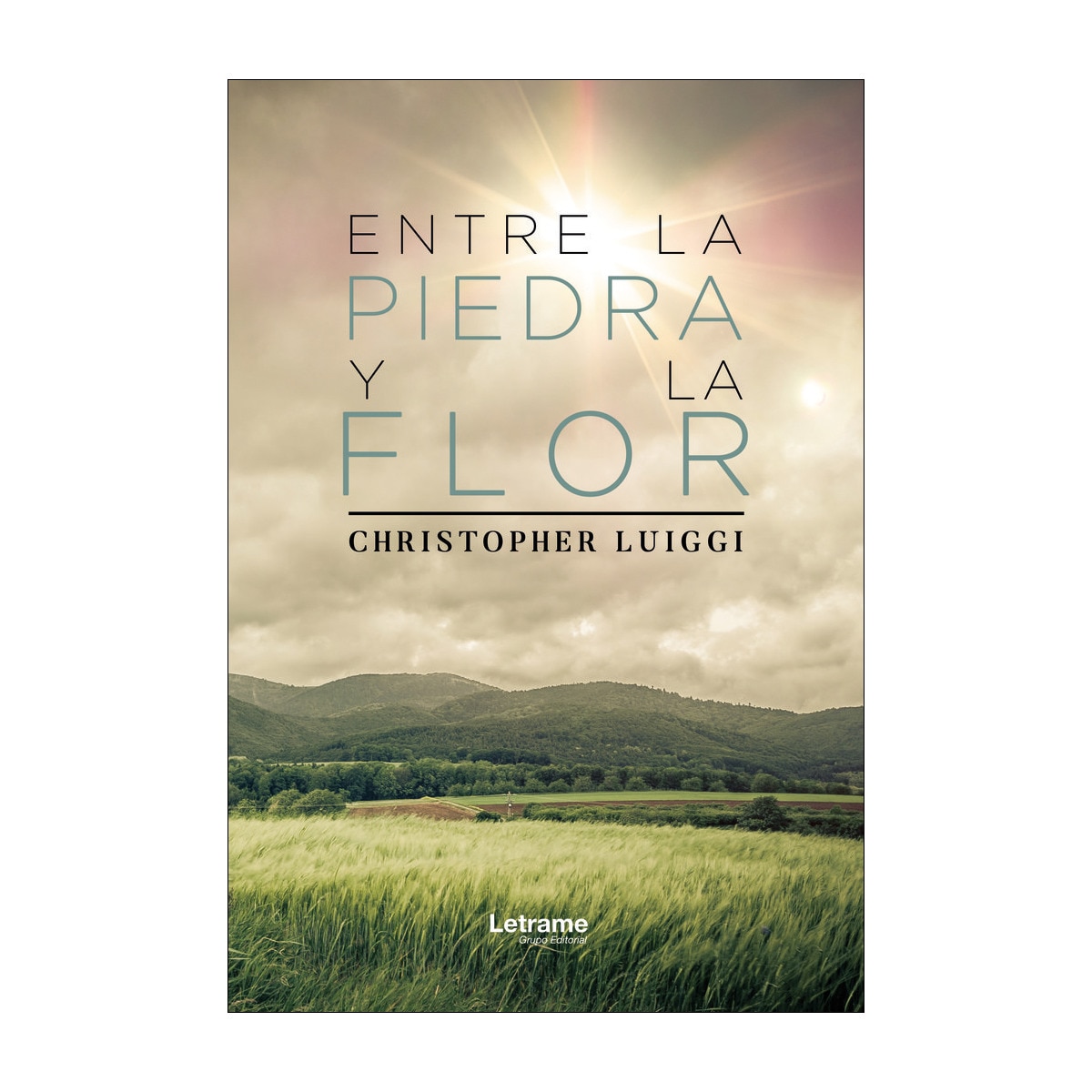 Entre la piedra y la flor(Tapa blanda) 1