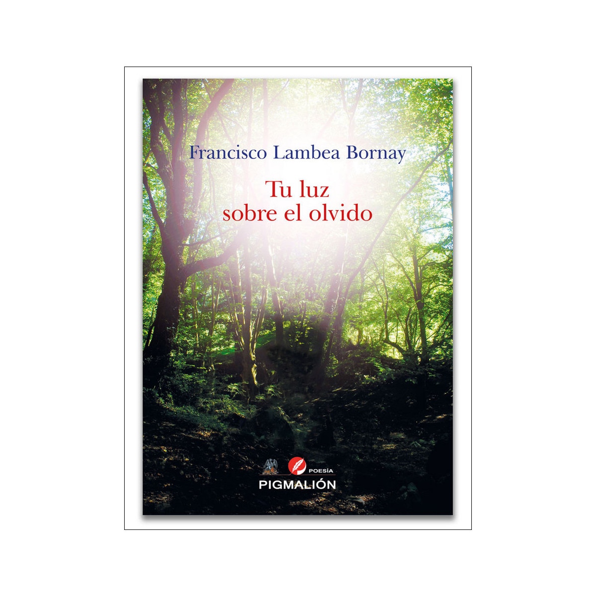 Tu luz sobre el olvido 1