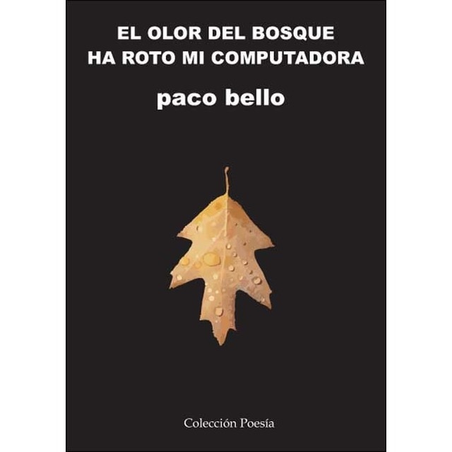 El olor del bosque ha roto mi computadora 1