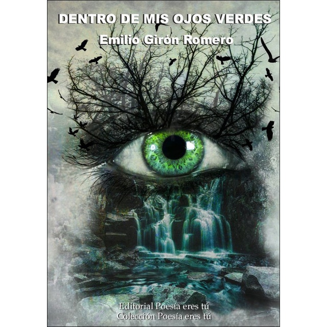 Dentro de mis ojos verdes(Tapa blanda) 1