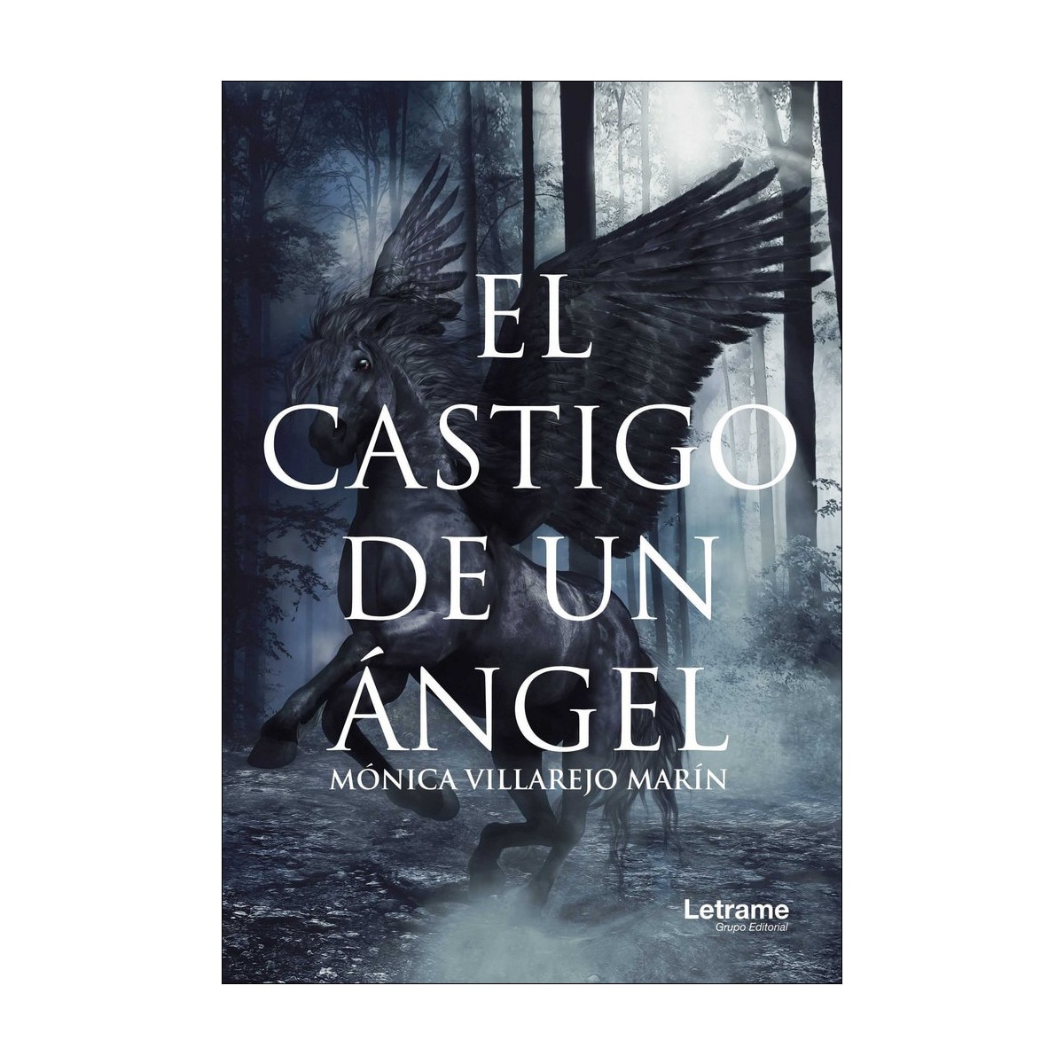 El castigo de un ángel(Tapa blanda) 1