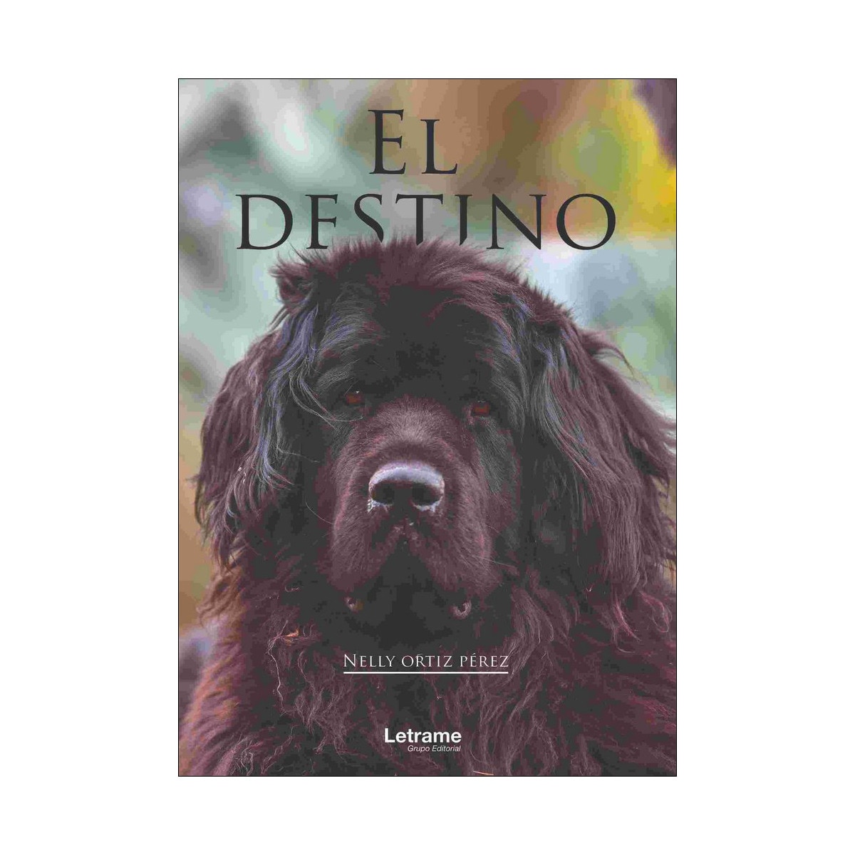 El destino(Tapa blanda) 1