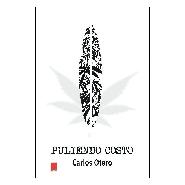 Puliendo costo(Tapa blanda) 1