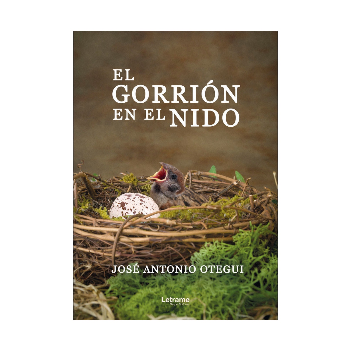 El gorrión en el nido(Tapa blanda) 1